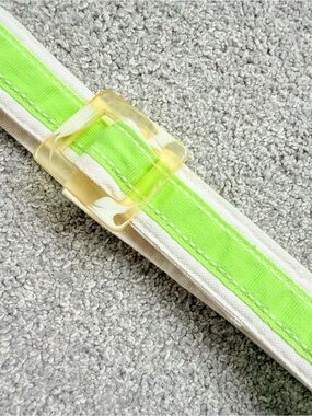 Blue Dragonfly Canvas Belt with Green Stripe